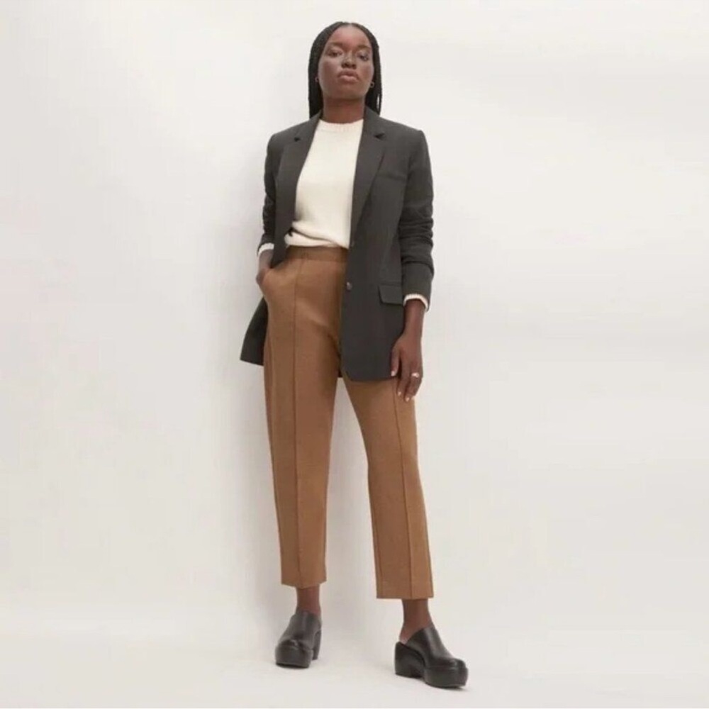 Everlane Heathered Auburn Dream Pleated Cropped Pant Size Large